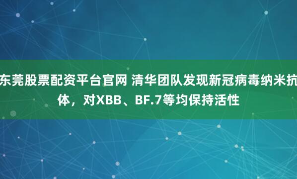 东莞股票配资平台官网 清华团队发现新冠病毒纳米抗体，对XBB、BF.7等均保持活性