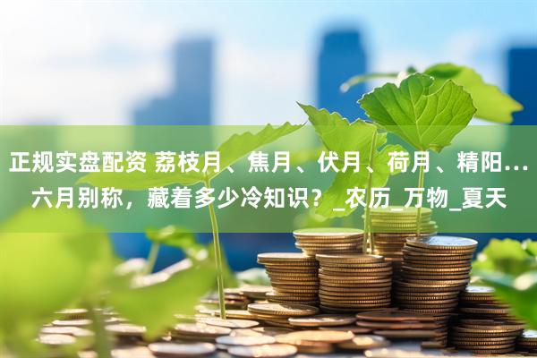 正规实盘配资 荔枝月、焦月、伏月、荷月、精阳…六月别称，藏着多少冷知识？_农历_万物_夏天