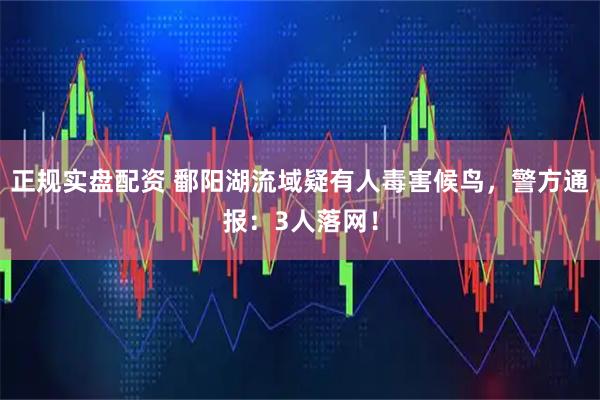 正规实盘配资 鄱阳湖流域疑有人毒害候鸟，警方通报：3人落网！